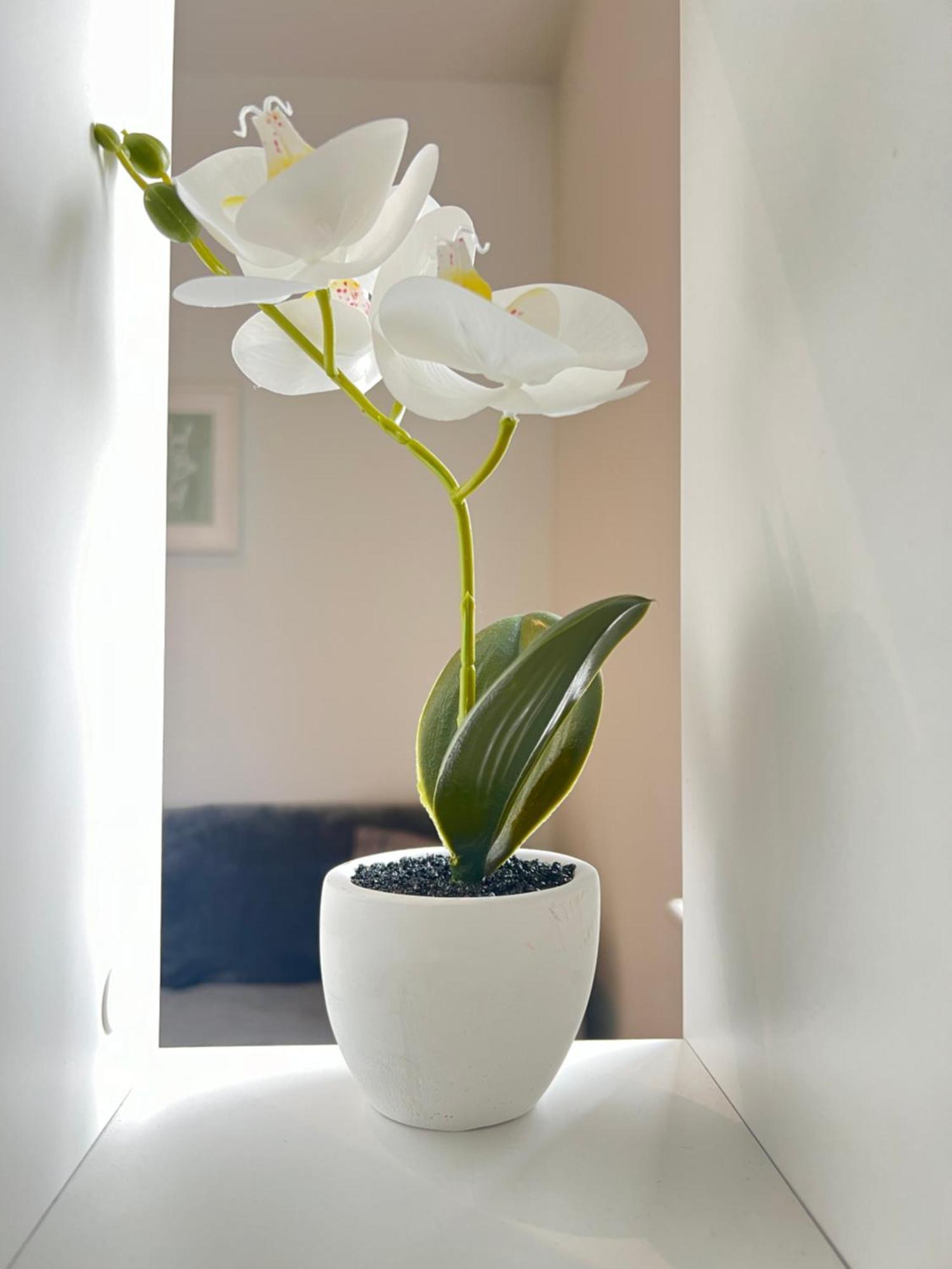 הית'רו London Heathrow Airport Apartment Voyager House Terminal 12345 - Ev Electric And Parking Available מראה חיצוני תמונה